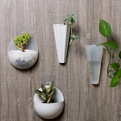 Moderne Wand-Blumentöpfe für kleine Räume und Indoor-Gartenarbeit