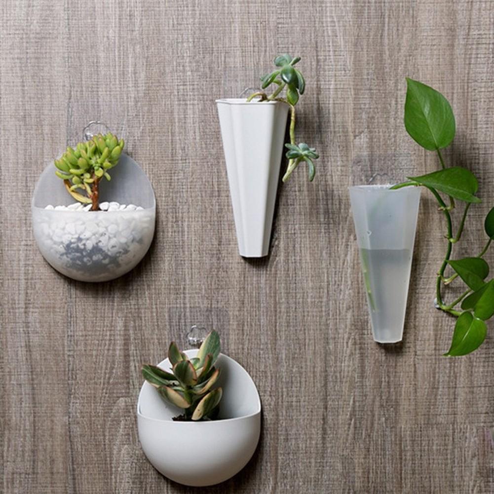 Transparent Plastic Wall Hanging Pots for Indoor Bonsai and Flowers
