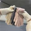 Cycling Imitation Rabbit Fur Plush Gloves for Women, New Autumn and Winter with Plush Insulation, Cute and Divided Finger Cold Resistant Gloves