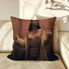 Music EEthel CCain Cushion Cover Pillow Case Antidustmite Pillowcase Silky Short Plush Sofa Cushion Cover hot