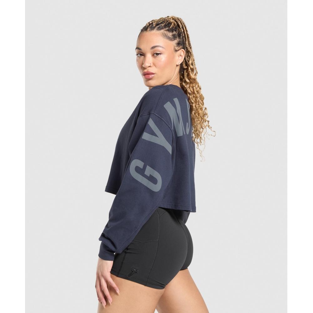 Gymshark Wordmark Graphic Long Sleeve Top Heavy Blue B2c8u Uctn