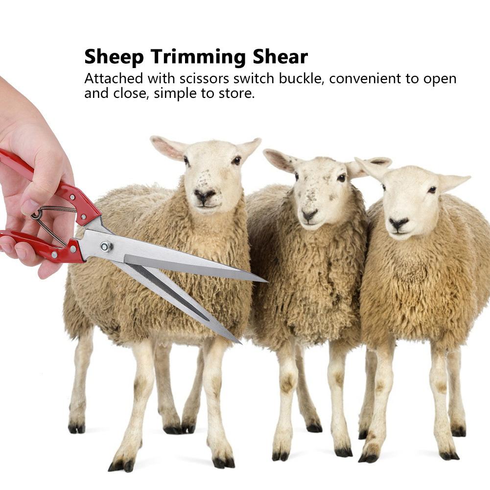 1pc Multifunctional Manual Steel Sheep Wool Shear Trimming Scissor with Spring, Durable Metal Handheld Clippers for Farm Animal Grooming