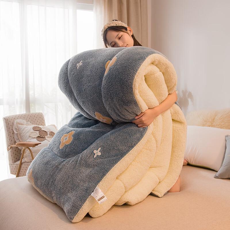 Plush Lamb Velvet Winter Quilt