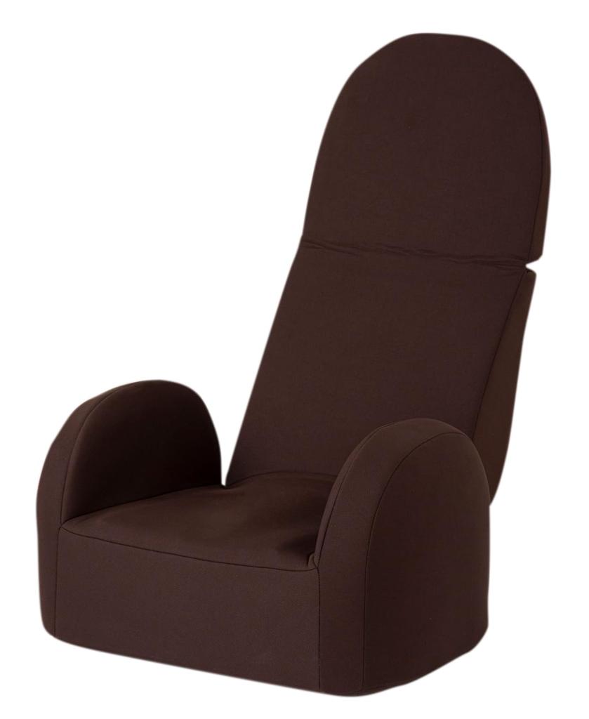 Ashiya Bi Seitai Shape Air Premium Dark Brown