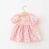 Children's Dress Summer New Product Baby Girl Small Floral Short Sleeve Dress Princess Skirt
