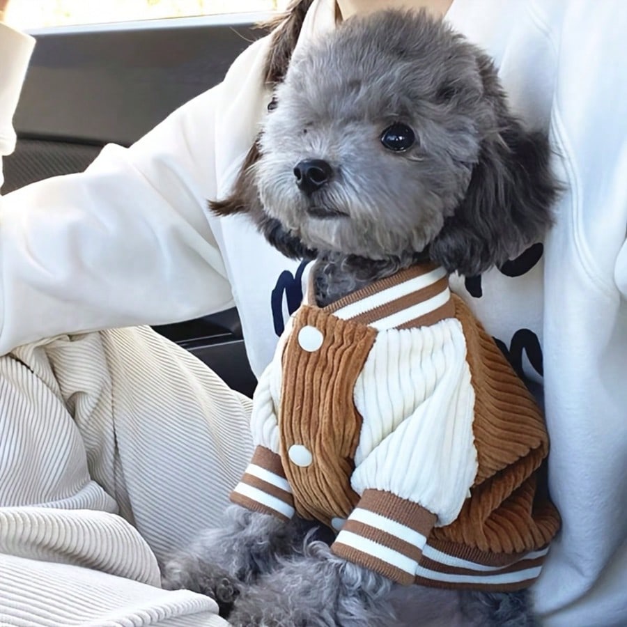 1 pièce Veste de Baseball pour Chien Style Ins pour Animaux de Compagnie, Design à Broderie de Poche Tendance et Intéressant pour Chien, Vêtements pour Chat et Chien Automne/Hiver M marron