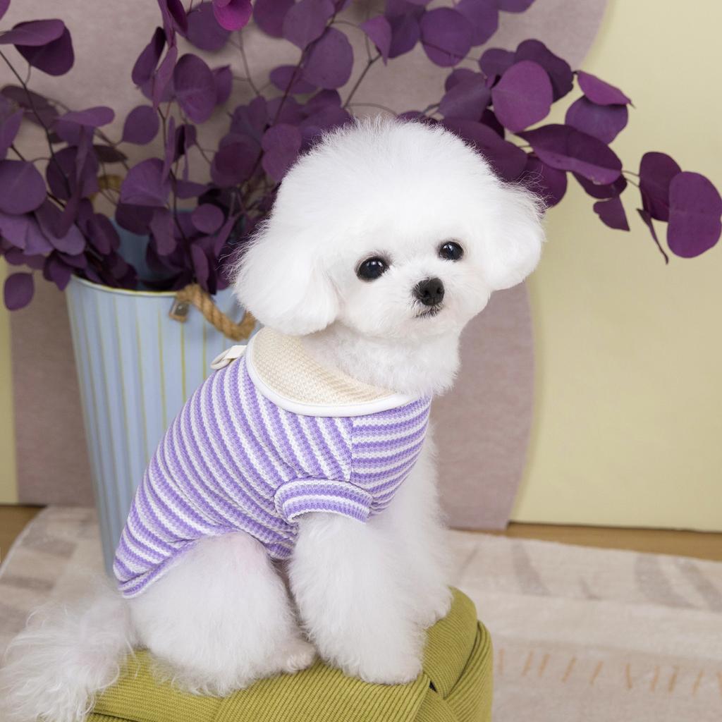 Spring and summer dog clothes paw print cloth sticker lapel striped T-shirt thin breathable small dog cat pet clothing