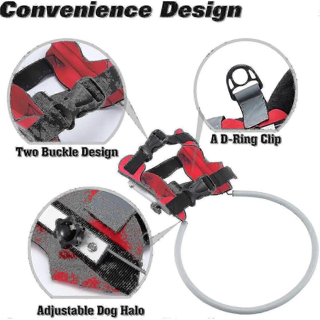 Blind Dog Harness with Anti-Collision Halo - Low Vision Pet Safety Device