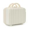 14-inch Carry-on Handbag & Cosmetic Bag