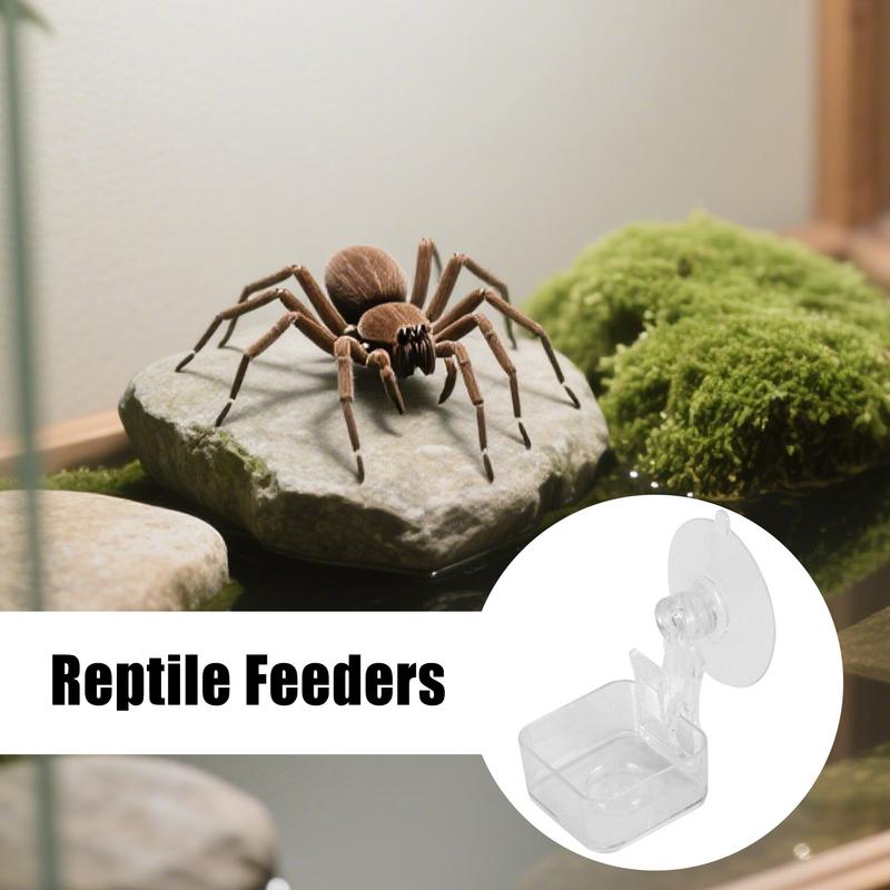 Chameleon Food Bowl Reptile Feeder With Suction Cup Habitat Decoration Pet Water Container Tray For Lizards Spider Tree Frogs