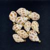 10Pcs Natural Babylon Shell Charms 16×28~20×33mm Spotted Seashell Pendants With Gold Bail Beach DIY Jewelry