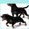 6 Große Rottweiler-Wildtier-Simulationshund-Tiermodell