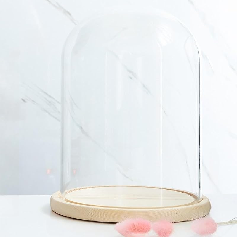 Glass Dome Diameter 7", Decorative Glass Cloche Bell Jar Display Dome, Dust Proof Glass Display Dome with Solid Wood Base Office Home Desktop