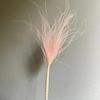 Long Pole Feather Grass Dried Flower Fluff Grass Needle Grass, Fresh And Smart Soft Decoration High-End Flower Diy Dried Flower Bouquet