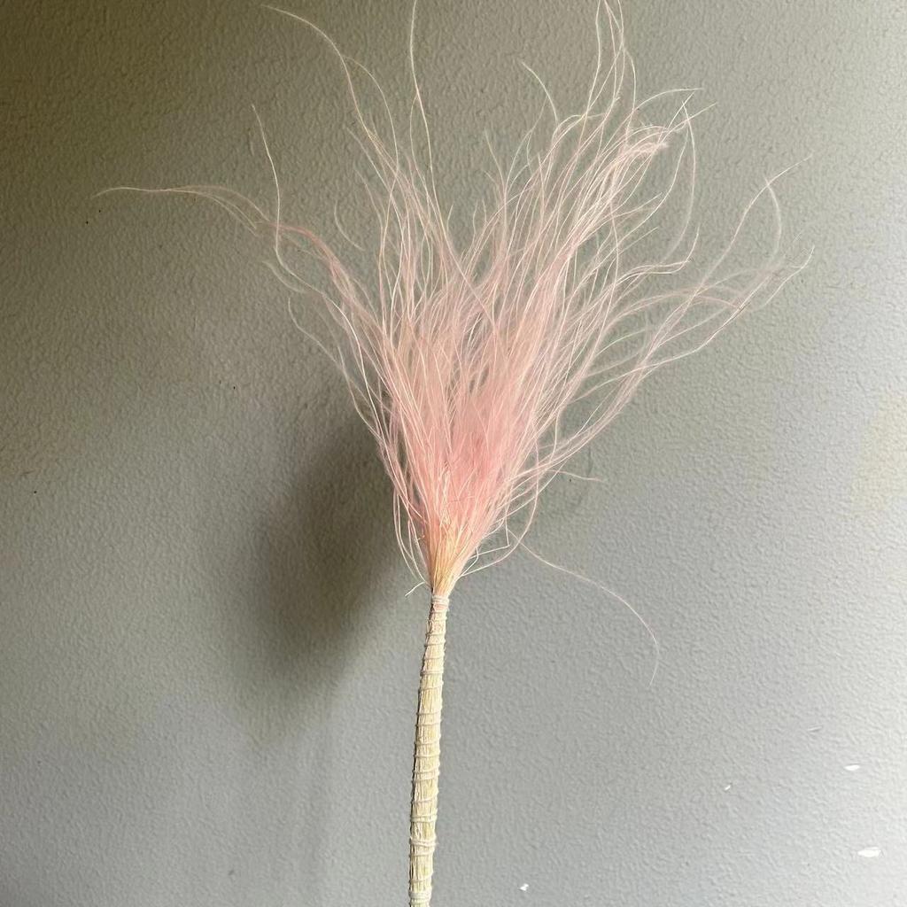 Long Pole Feather Grass Dried Flower Fluff Grass Needle Grass, Fresh And Smart Soft Decoration High-End Flower Diy Dried Flower Bouquet
