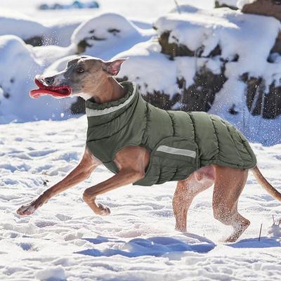 Giyim ve ayakkabı – Köpekler İçin Ceketler ve Montlar