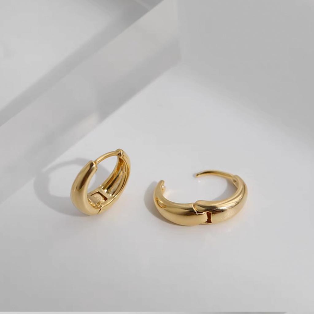 Hoop Surgical Stainless Ring Perfect As a Gift for People In Their and 40s FH.bird Earrings, Non-stop, Steel, Hypoallergenic, Earrings, Women's, Gold,