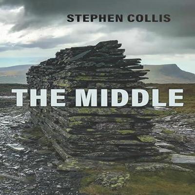 The Middle by Stephen Collis Paperback Book 9781772016420