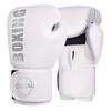 Boxe e artes marciais – Luvas de boxe e artes marciais