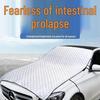 Car Windshield Snow and Sun Shade: Snowproof, Frost Protection, UV Protection