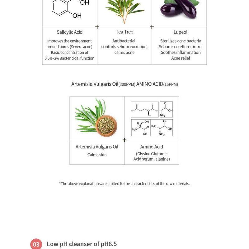 MIZON - Good Bye Blemish Low pH Cleanser