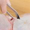 Stainless Steel Fish Bone Tweezers Remover Pincer Puller Tongs Pick-Up Seafood Tool Kitchen Tweezer Chicken Meat Hair Removal