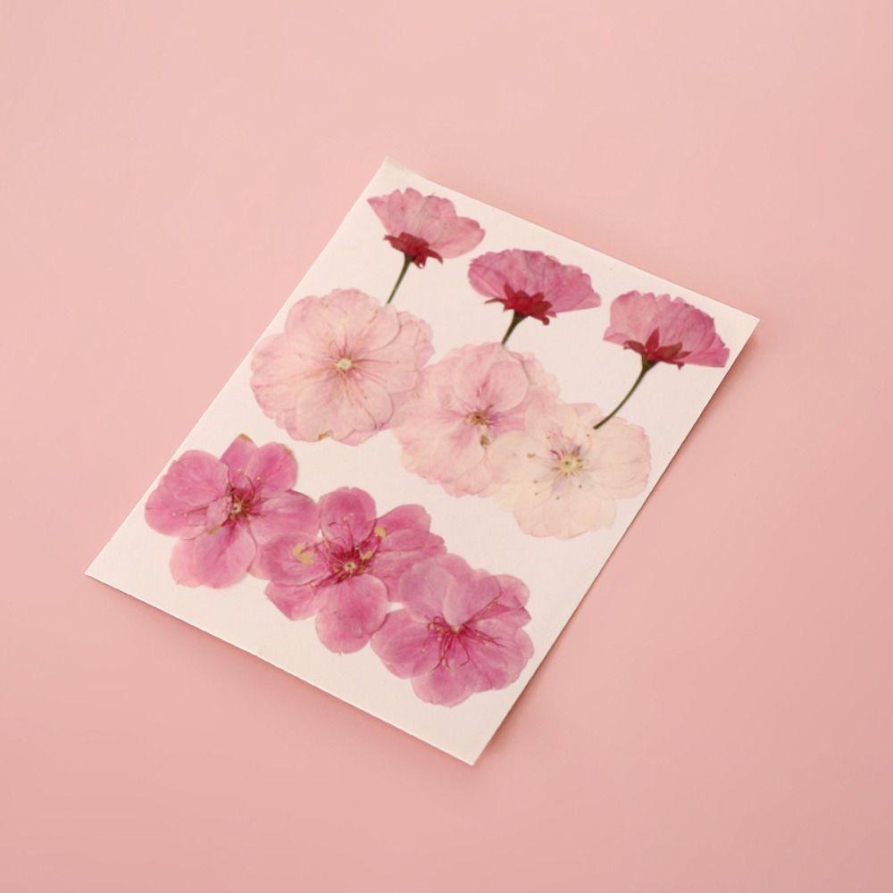 Fleurs séchées DIY Marque-pages en fleurs séchées Matériaux DIY Marque-page de page Fleur Amateurs de livres