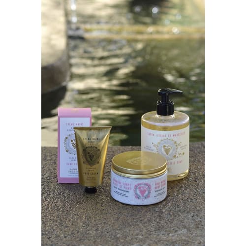 Panierdessens Renewing Grape Hand Cream, 75ml, White Muscat Grape, France. A Popular Gift for Both Men and Women. Perfect for Thank-you Gifts, Farewel