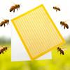 1Pc Plastic Mesh Beekeeping Queen Excluder Frame Bee Queen Barrier Anti-Escape Separation Trapping Grid Net Tool Separated Board