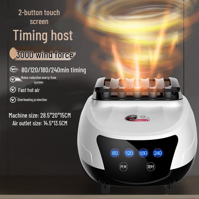 ZISIZ Portable Clothes & Shoe Dryer with Heater