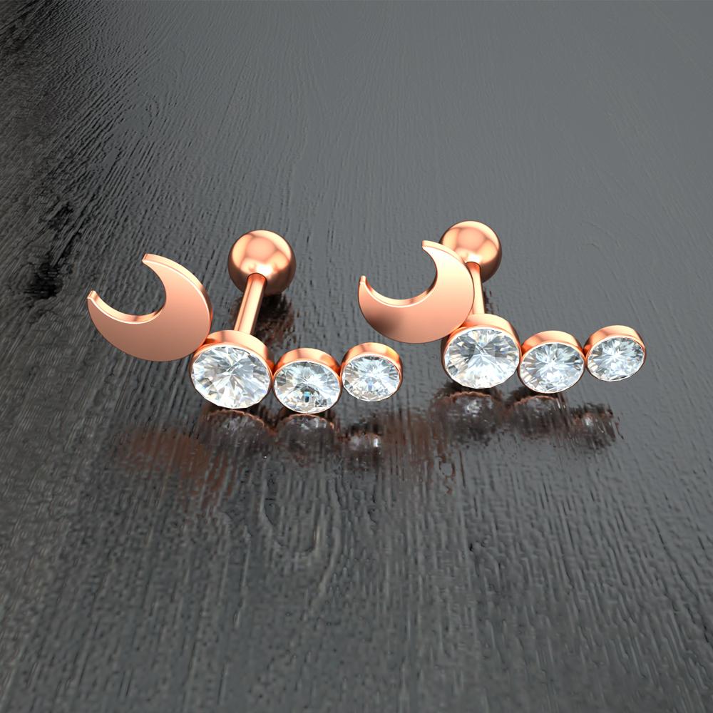 Set 10 Stainless Steel Bar Cartilage Piercing Studs Star Heart Flower Moon Rook Earlobe Screw Statement Earrings Tragus Conch