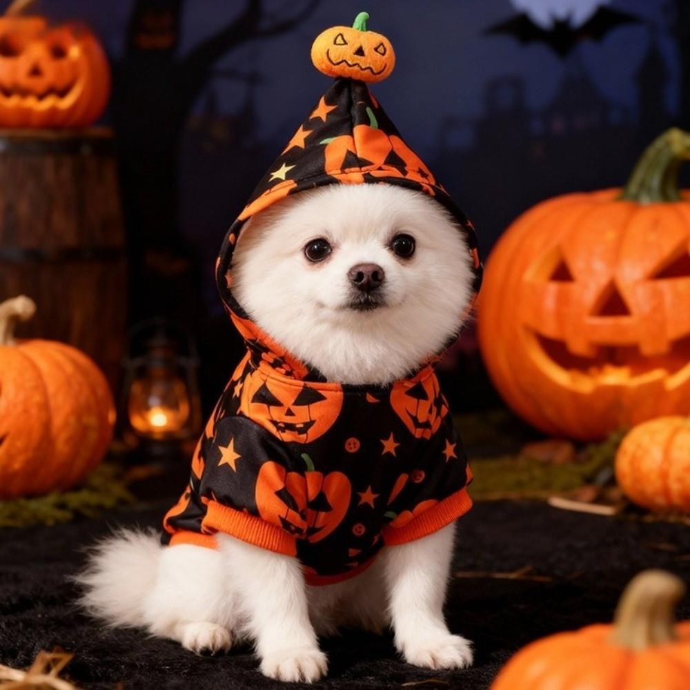 Stretchy Pumpkin Printed Hoodie Soft Pet jumpsuit Cute Pet Cosplay Outfit Halloween