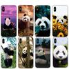 High Resolution Cellphone Shell Cute Panda For Iphone 13 12 Mini 11 Pro Max XS Hard Mobile Phone Case X XR SE 8 7 Plus 5 6 Cover