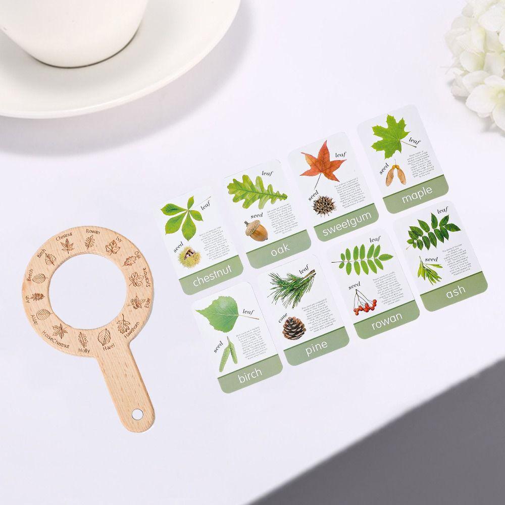 Educational Toys Magnifying Glass Toys Wooden Plant Cognition Cards  Parent-Child