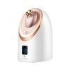 MKS Cold & Hot Nano Facial Steamer NV8385