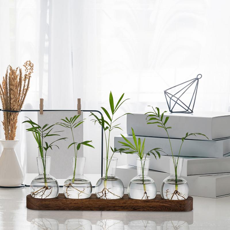 Planten Terrarium voor Hydroponics Planten Kantoor Plant Vermeerderingsstation met Retro Houten Stand Huis Bureau Glazen Planter