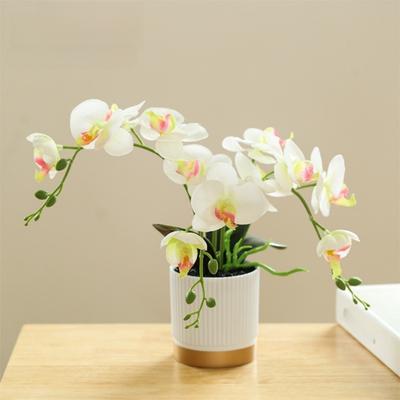 Gesimuleerde Zijde Vlinderorchidee Potplant Nep Phalaenopsis Nieuwe Bonsai Orchidee