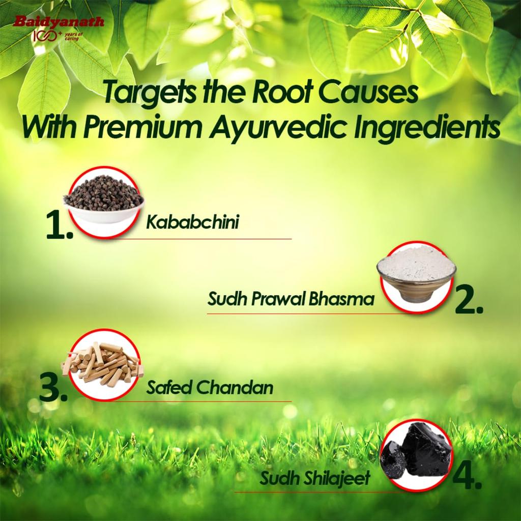 Baidyanath Prostaid Ayurvedic Tablets For Men’s Vitality & Wellness Support | 50 Tablets X  (Pack Of 2)