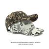 Printed Letter Baseball Cap Spring Summer Men's Outdoor Sunscreen Hat
