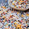 Peixes e animais aquáticos – Decoração de aquário