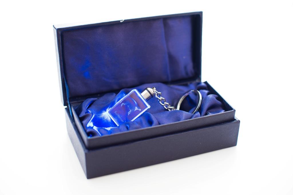 Bull Terrier, Bully - Crystal Key Ring with Dog Photo, Illuminated Key Ring, Unique Gift by Art-Dog Brand