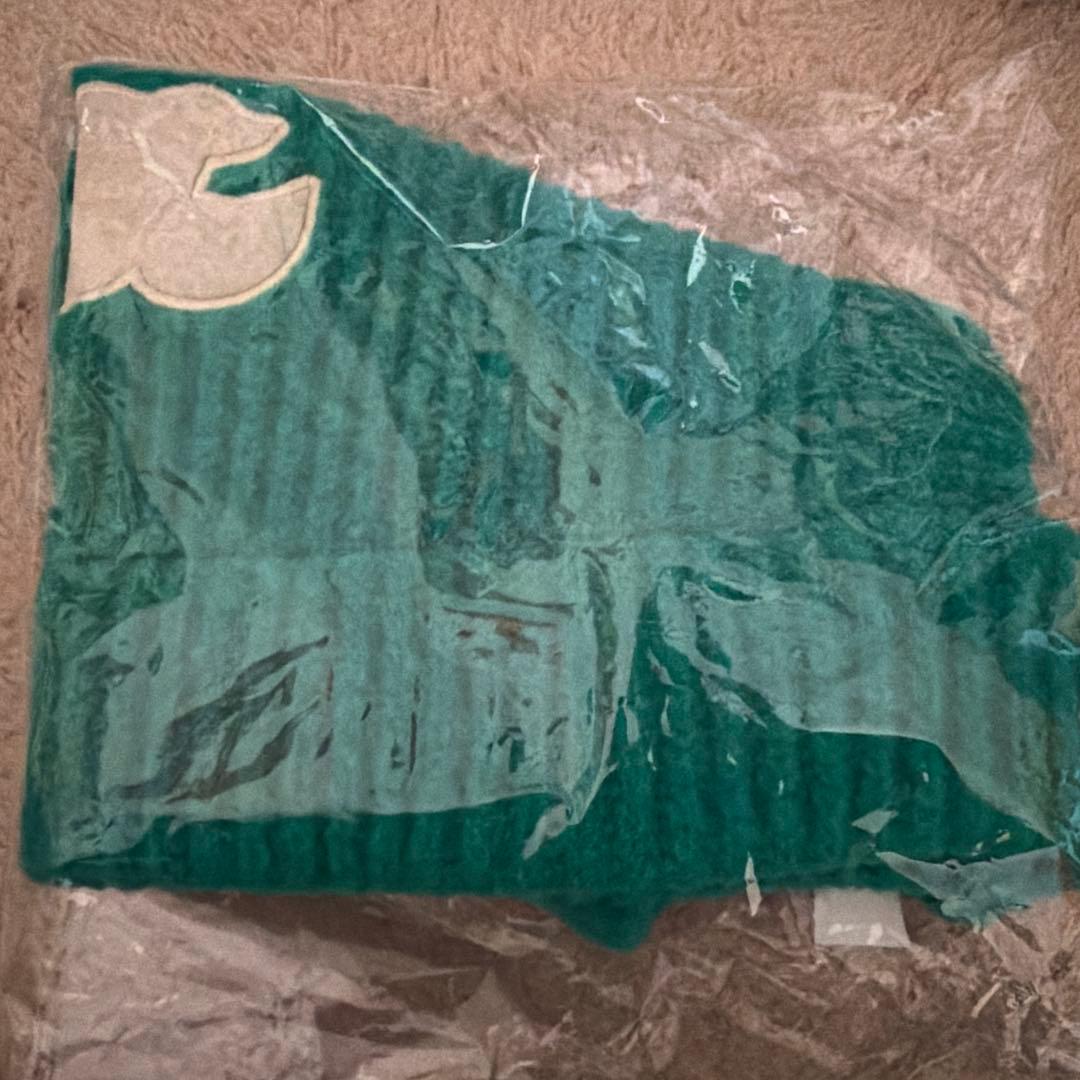 

[USED] Stray Kids Ien Balaclava Men s Pro