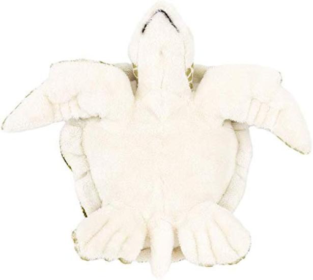 Carolata Green Sea Turtle Plush Toy Soft to the Realistic Creature Toy Gift Turtle Gift (Small), Touch, (Sea Toy), Doll, Mascot/Birthday (Twice