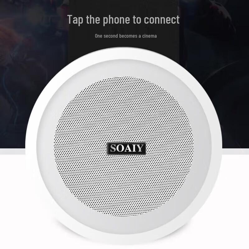 Soaiy SA-9005Y Bluetooth Ceiling Speaker System CN Plug (adapter Included)