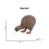 Kiwi Bird Jungle Animals Figures Peacock Phoenix Mallard Turkey Toucan Action Figure Toy Animal Figurines Toys for Kids Gifts