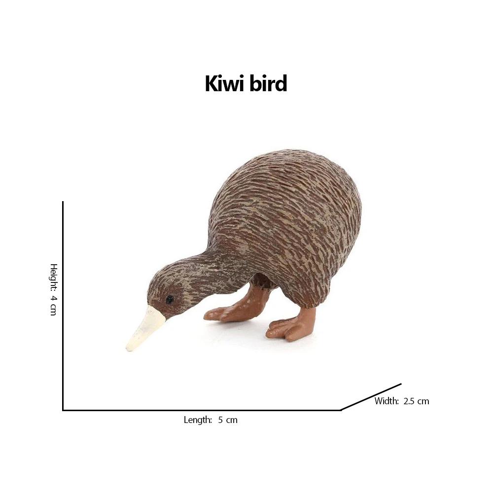 Kiwi Bird Jungle Animals Figures Peacock Phoenix Mallard Turkey Toucan Action Figure Toy Animal Figurines Toys for Kids Gifts
