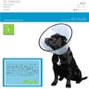 Fantasy World Vet for Small Size S Collar, Clear, Dogs,