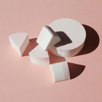 Picasso Collezioni Latex Round Cake Sponge 6P