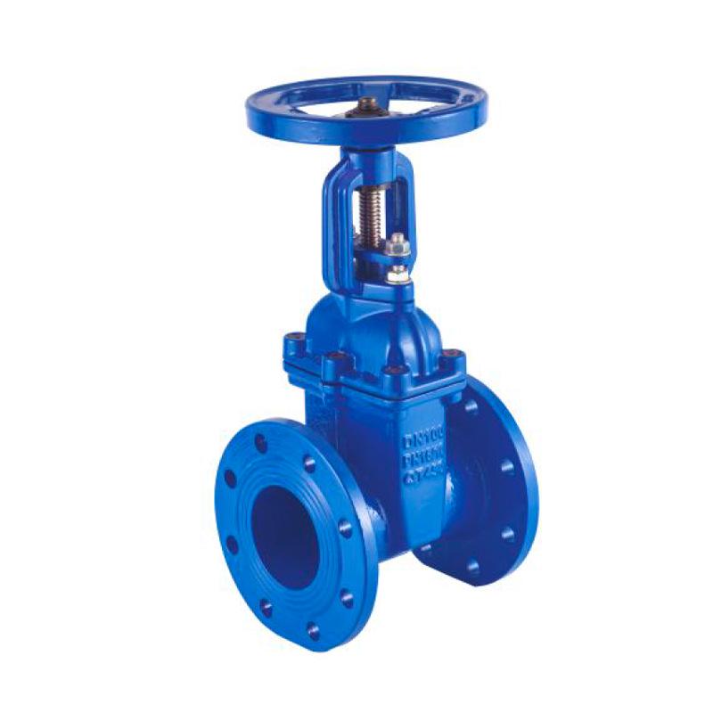 Z41X-16 DN100 Manual Rising Stem Elastic Seat Flanged Gate Valve for Tap Water