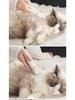 Electric Pet Grooming Set: 4-in-1 Dog & Cat Clipper and Trimmer
